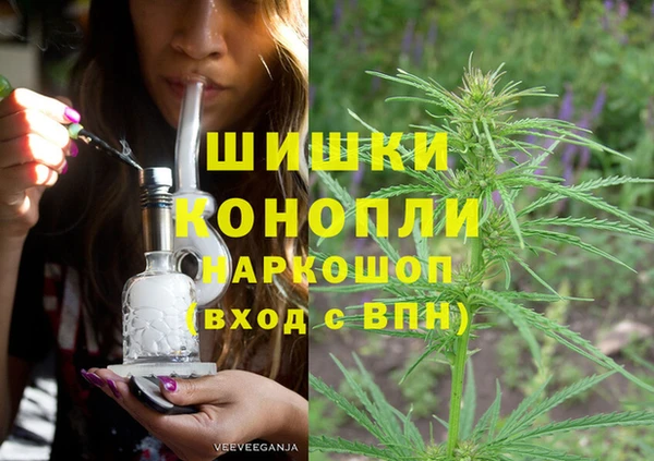 шишки Алексеевка