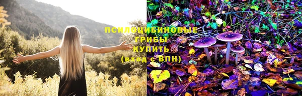 меф Алексин