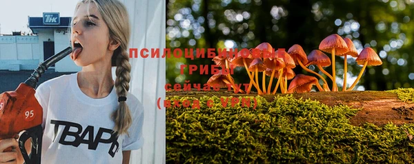 шишки Алексеевка