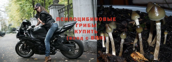 шишки Алексеевка