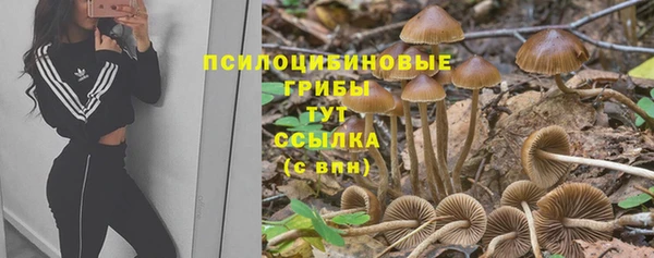 меф Алексин