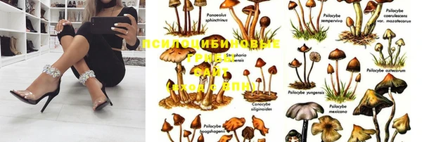 гашиш Алзамай